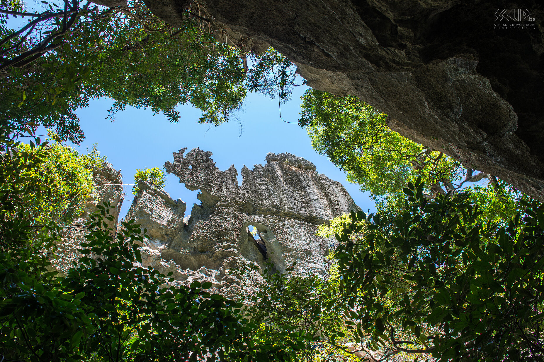 Grote Tsingy - Kloof Ik begon met een klim naar de het uitzichtpunt van Ranotsara en vervolgens wandelde ik door de bossen in de kloven. Dit pad is 'Broadway' genoemd. Stefan Cruysberghs